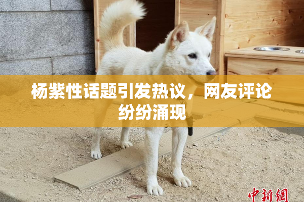 杨紫性话题引发热议，网友评论纷纷涌现