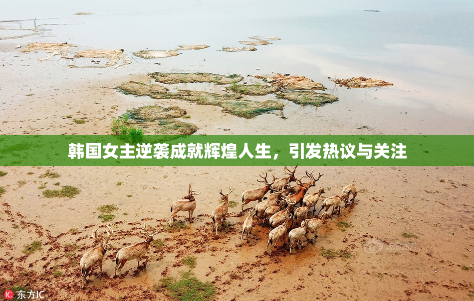 韩国女主逆袭成就辉煌人生，引发热议与关注