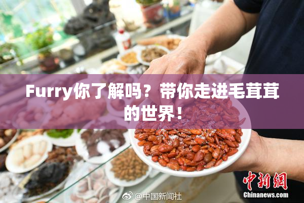 Furry你了解吗？带你走进毛茸茸的世界！