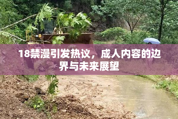 18禁漫引发热议，成人内容的边界与未来展望