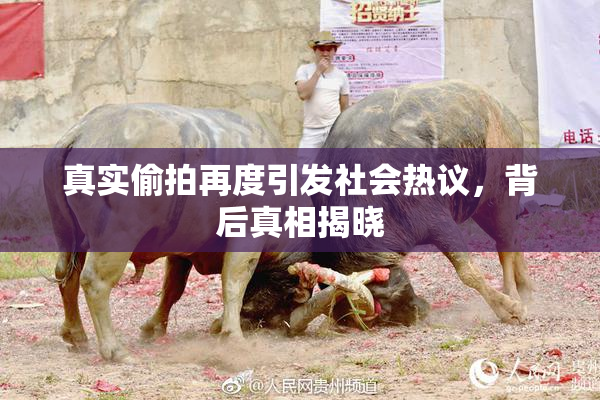 真实偷拍再度引发社会热议，背后真相揭晓