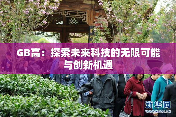 GB高：探索未来科技的无限可能与创新机遇