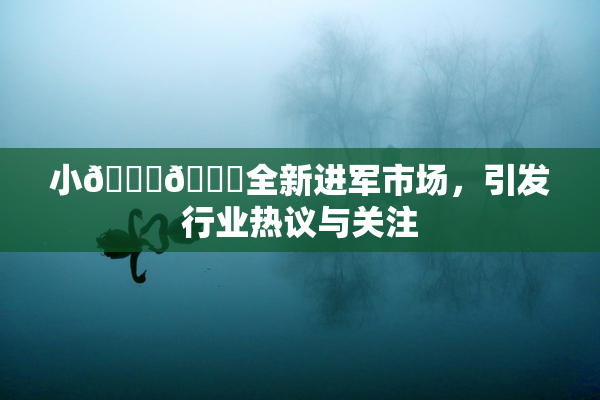 小🐔🐔全新进军市场，引发行业热议与关注