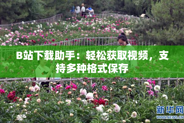 B站下载助手：轻松获取视频，支持多种格式保存