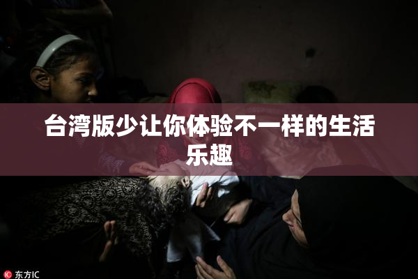 台湾版少让你体验不一样的生活乐趣