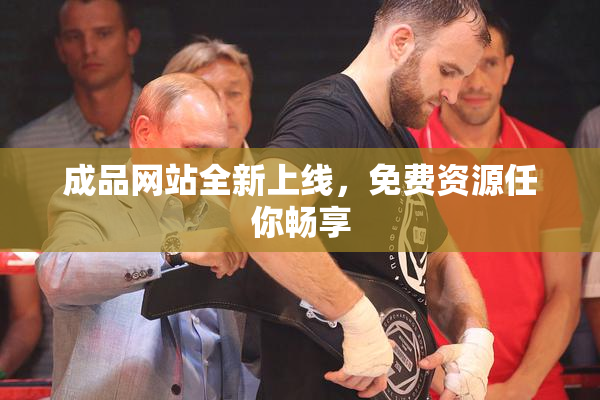 成品网站全新上线，免费资源任你畅享