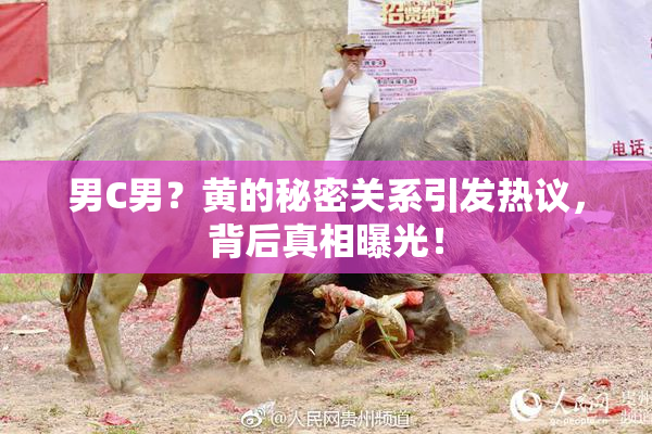男C男？黄的秘密关系引发热议，背后真相曝光！