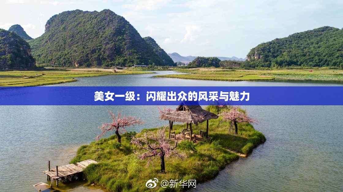 美女一级：闪耀出众的风采与魅力