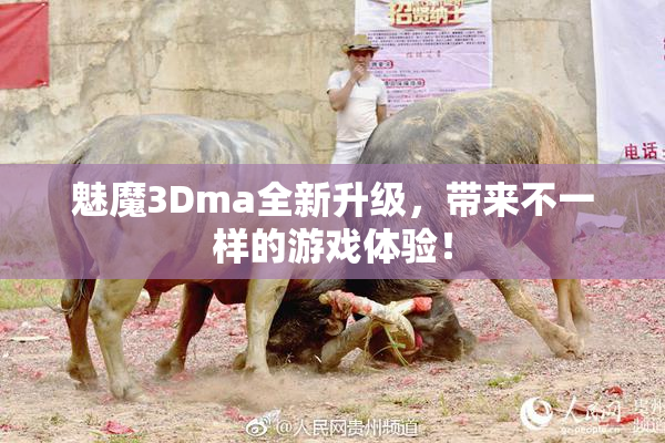 魅魔3Dma全新升级，带来不一样的游戏体验！