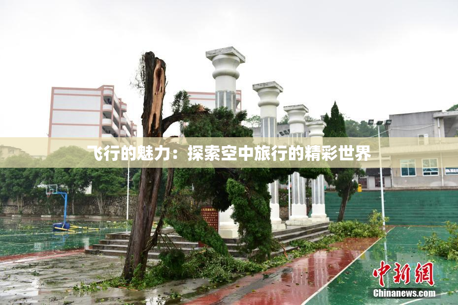 飞行的魅力：探索空中旅行的精彩世界