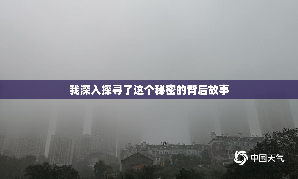 我深入探寻了这个秘密的背后故事