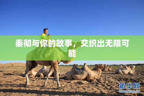 秦彻与你的故事，交织出无限可能