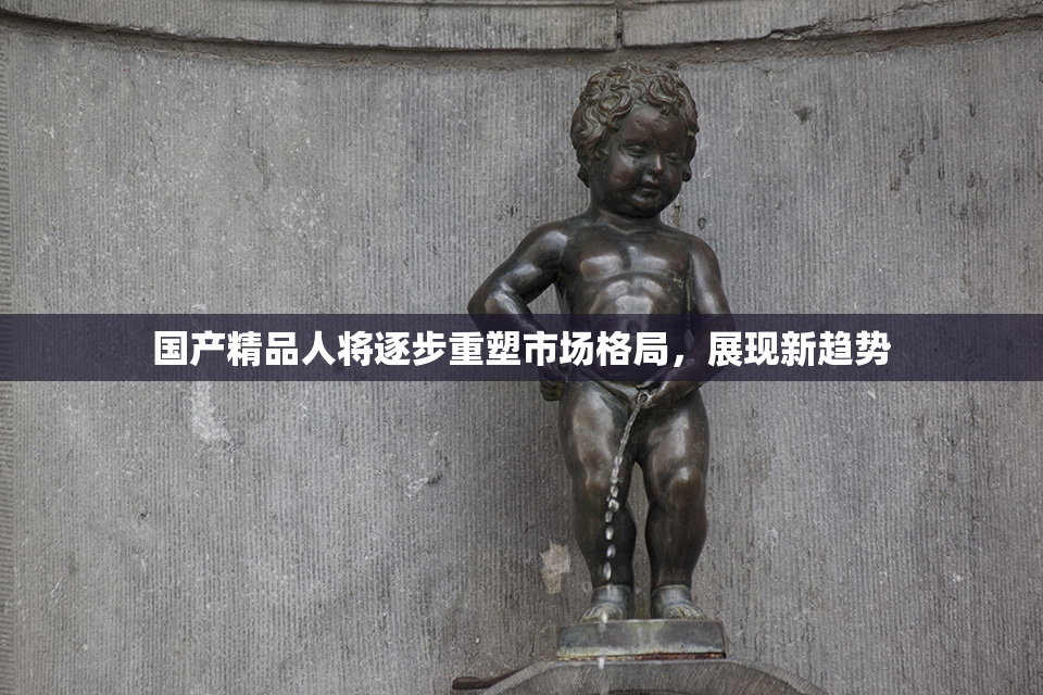 国产精品人将逐步重塑市场格局，展现新趋势