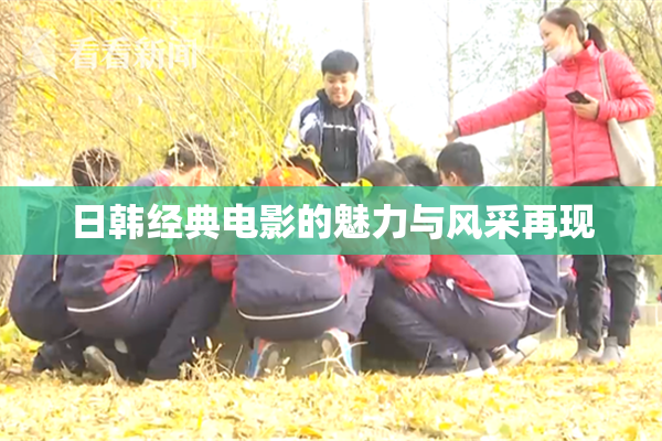 日韩经典电影的魅力与风采再现