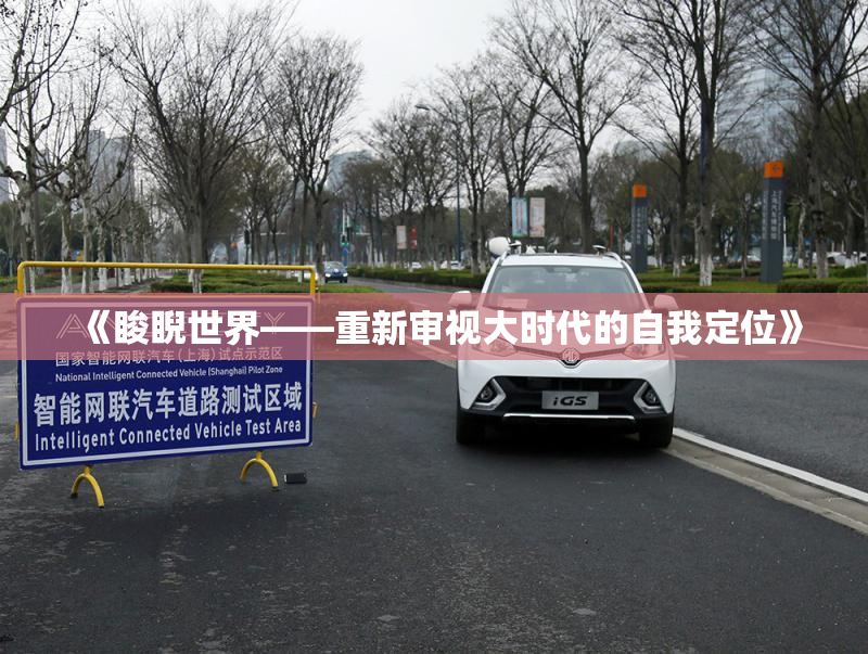 《睃睨世界——重新审视大时代的自我定位》