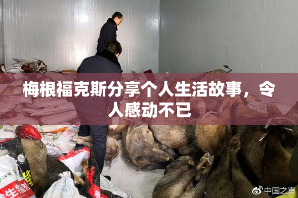 梅根福克斯分享个人生活故事，令人感动不已