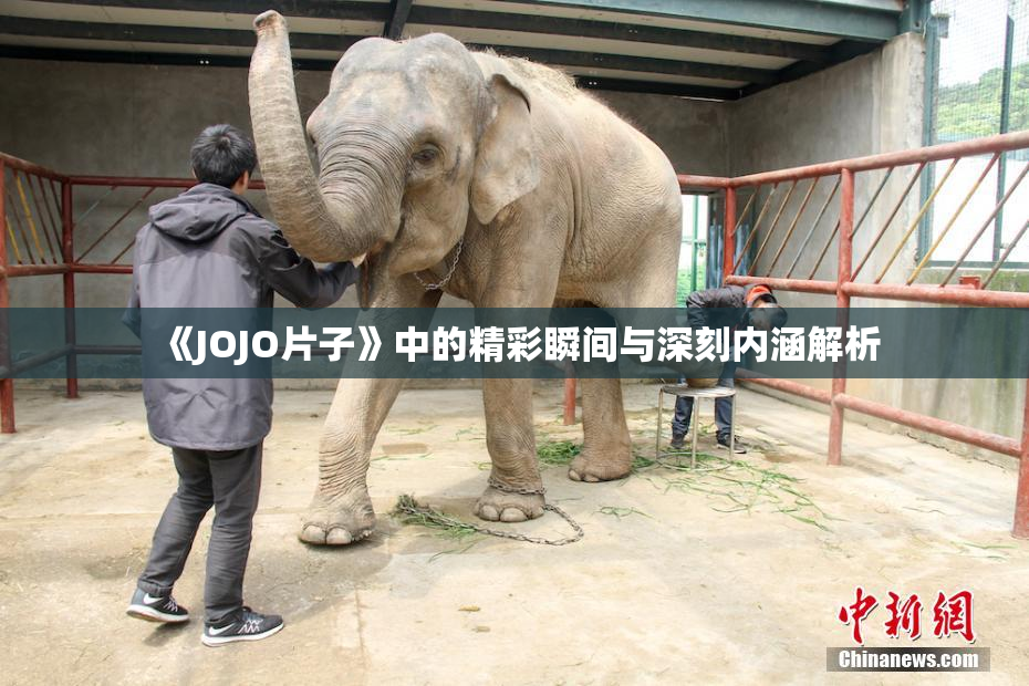 《JOJO片子》中的精彩瞬间与深刻内涵解析