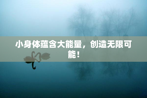 小身体蕴含大能量，创造无限可能！