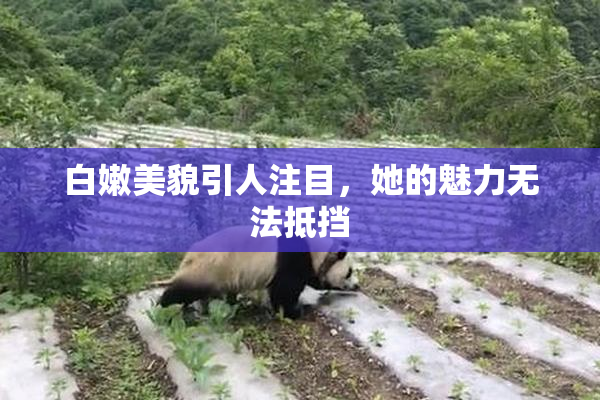 白嫩美貌引人注目，她的魅力无法抵挡