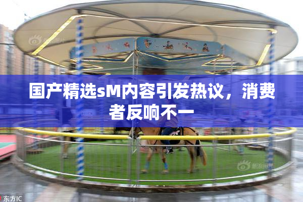 国产精选sM内容引发热议，消费者反响不一
