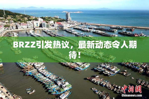 BRZZ引发热议，最新动态令人期待！