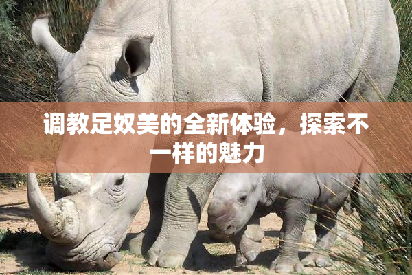 调教足奴美的全新体验，探索不一样的魅力