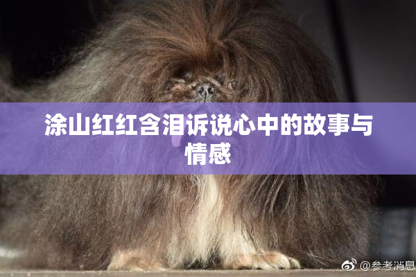 涂山红红含泪诉说心中的故事与情感