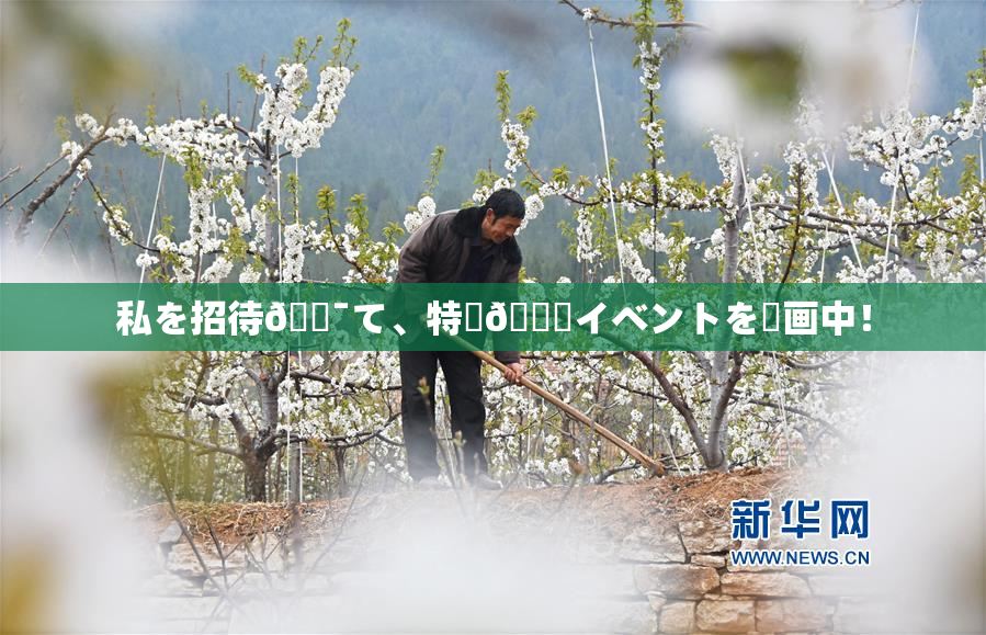 私を招待🔯て、特別🍑イベントを計画中！