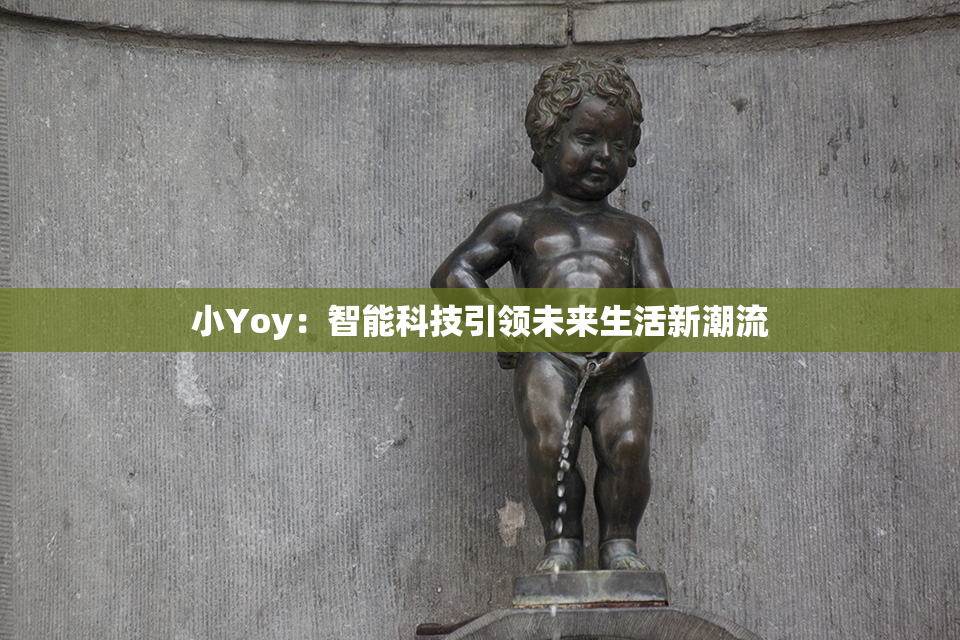 小Yoy：智能科技引领未来生活新潮流