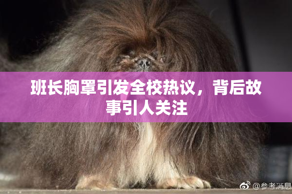 班长胸罩引发全校热议，背后故事引人关注