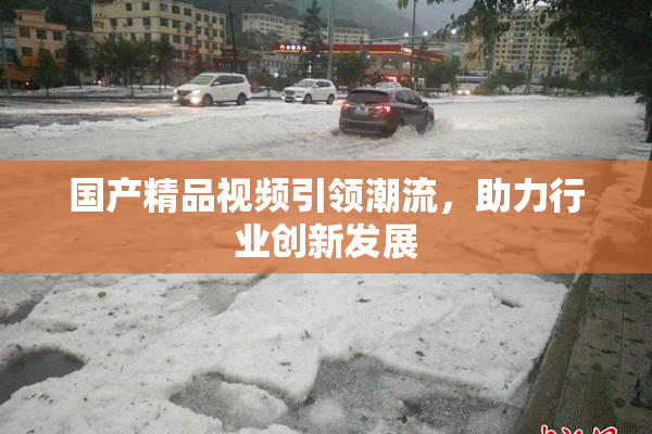 国产精品视频引领潮流，助力行业创新发展