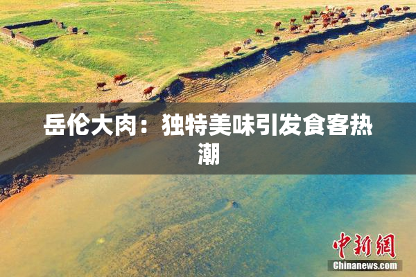 岳伦大肉：独特美味引发食客热潮