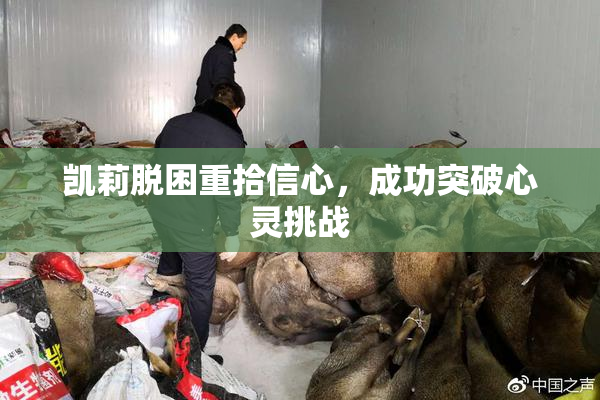 凯莉脱困重拾信心，成功突破心灵挑战