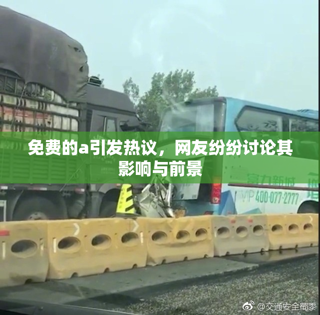 免费的a引发热议，网友纷纷讨论其影响与前景