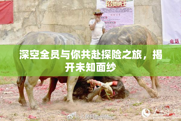 深空全员与你共赴探险之旅，揭开未知面纱