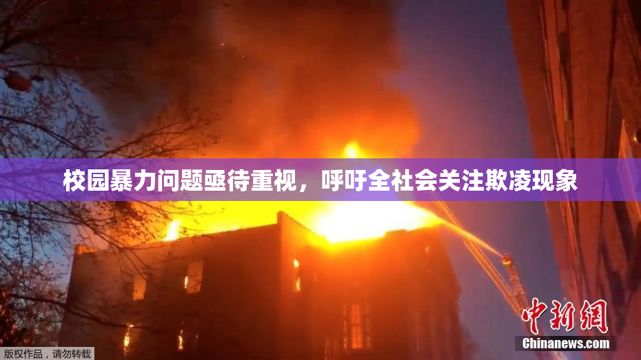 校园暴力问题亟待重视，呼吁全社会关注欺凌现象
