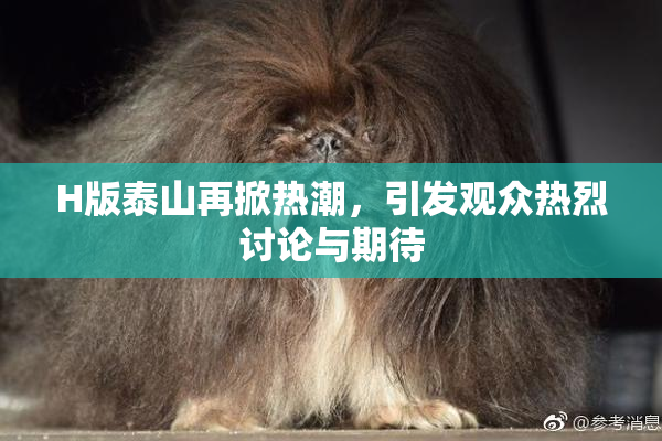 H版泰山再掀热潮，引发观众热烈讨论与期待