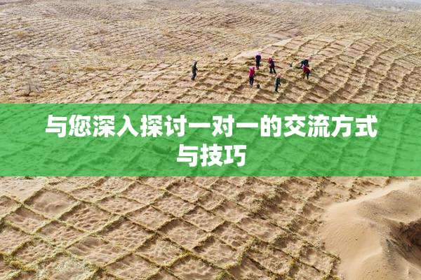 与您深入探讨一对一的交流方式与技巧