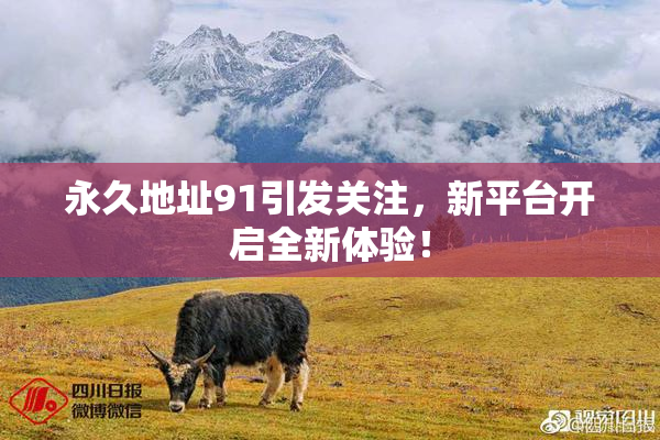 永久地址91引发关注，新平台开启全新体验！