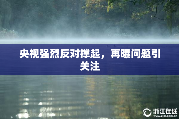央视强烈反对撑起，再曝问题引关注