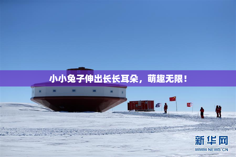 小小兔子伸出长长耳朵，萌趣无限！
