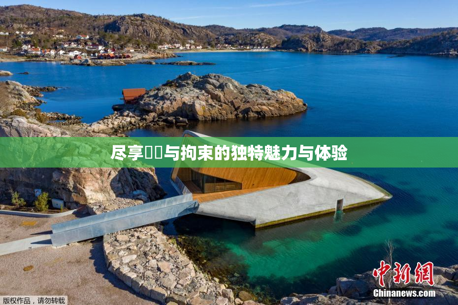 尽享緊縛与拘束的独特魅力与体验