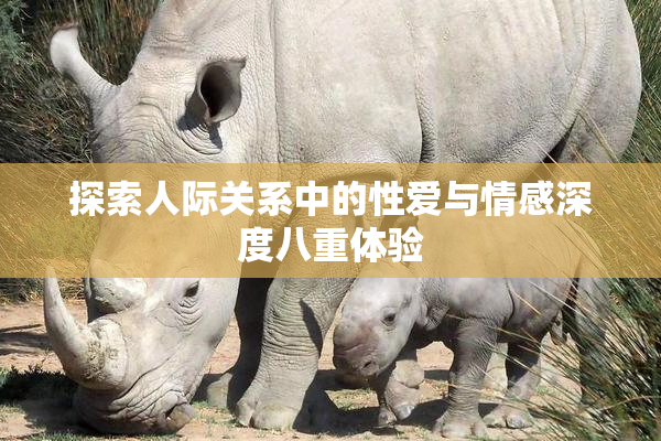 探索人际关系中的性爱与情感深度八重体验
