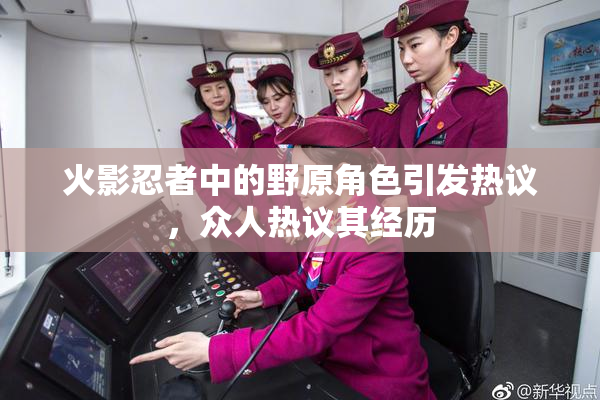 火影忍者中的野原角色引发热议，众人热议其经历