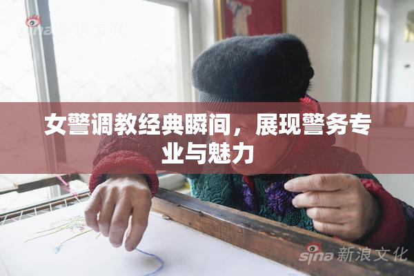 女警调教经典瞬间，展现警务专业与魅力