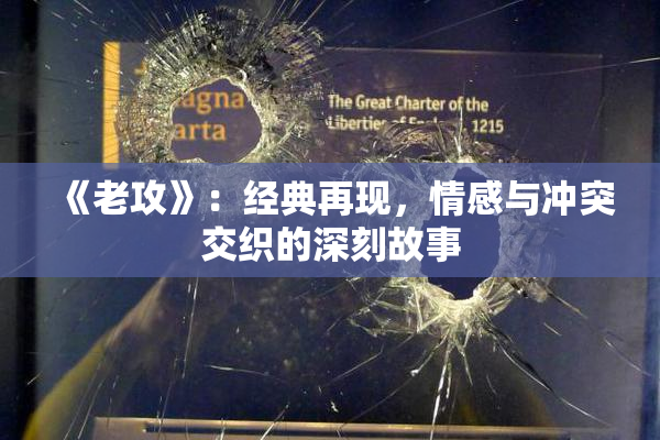 《老攻》：经典再现，情感与冲突交织的深刻故事