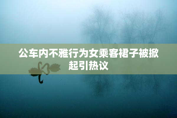 公车内不雅行为女乘客裙子被掀起引热议