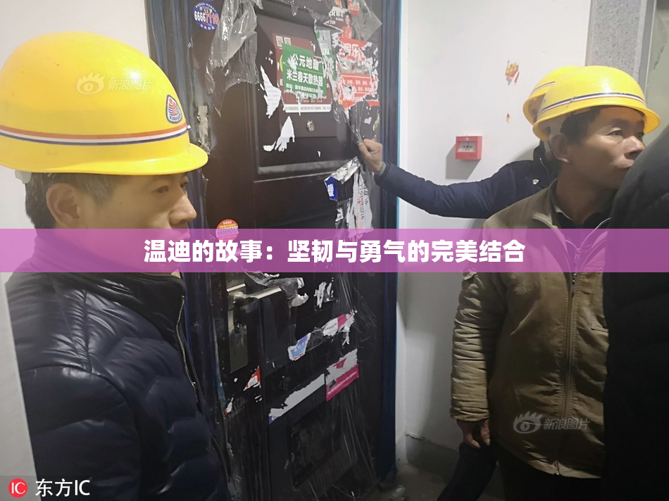 温迪的故事：坚韧与勇气的完美结合