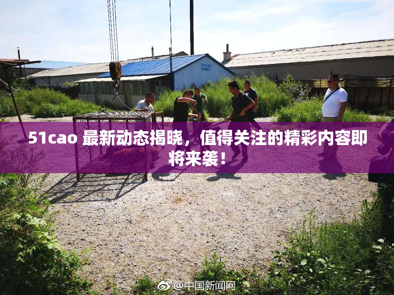 51cao 最新动态揭晓，值得关注的精彩内容即将来袭！