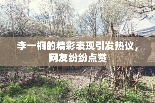 李一桐的精彩表现引发热议，网友纷纷点赞